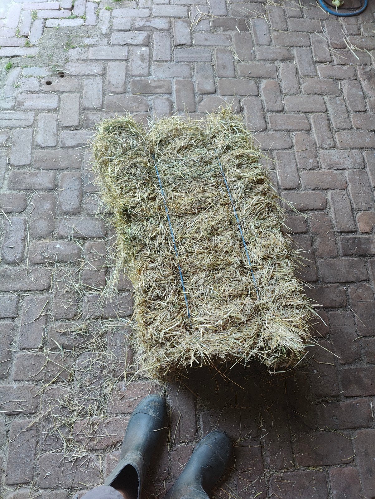 Kleine pakjes hooi, 1e snede, onbemest, jacobskruiskruidvrij, Ophalen