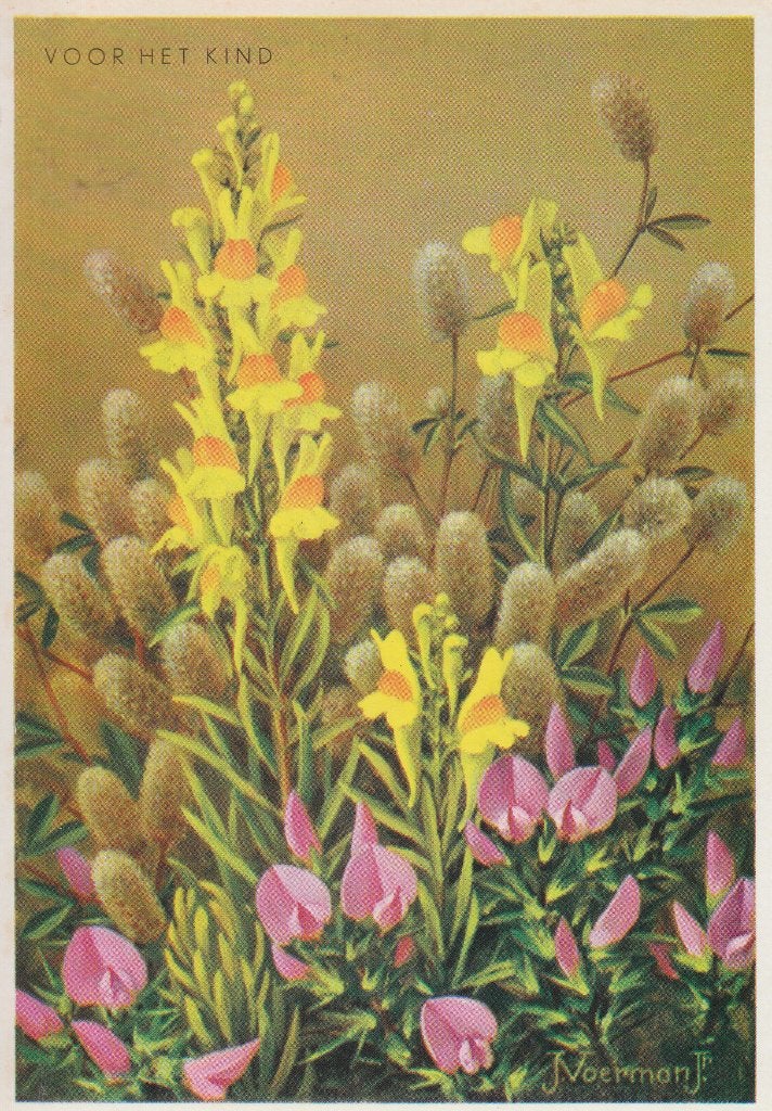 G269 ansichtkaart voor het kind 1965 bloemen voerman jr, Ophalen of Verzenden, 1960 tot 1980, Ongelopen, Kinderen