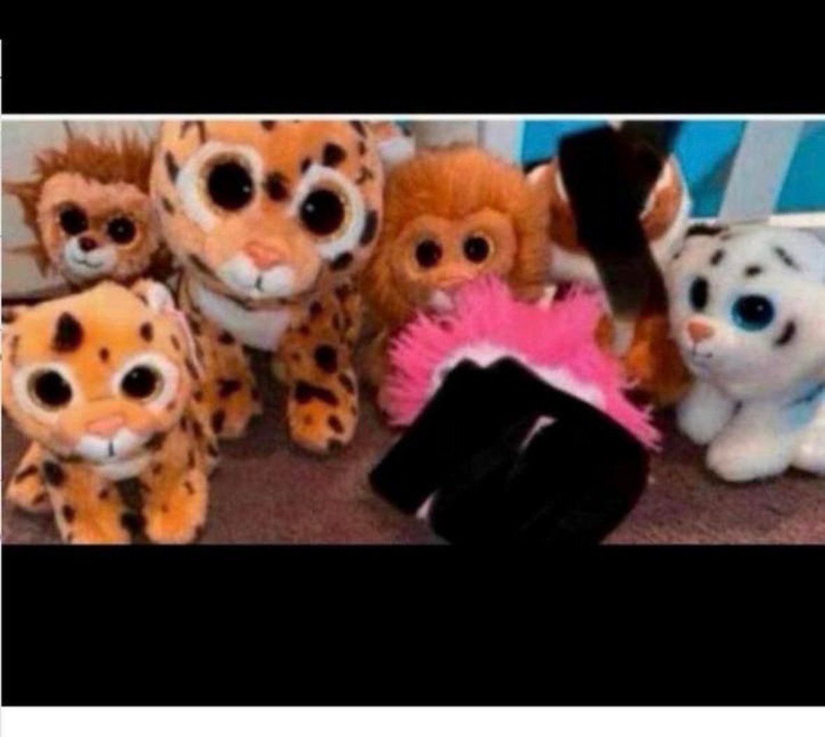 Ty Beanie Boo - Nieuw met kaartje, Ophalen of Verzenden, Nieuw, Met label, Ty