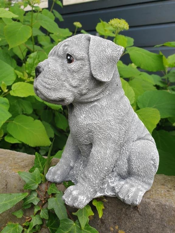 boxer hond , beeld, Kunststof, Ophalen of Verzenden, Atw, Atw