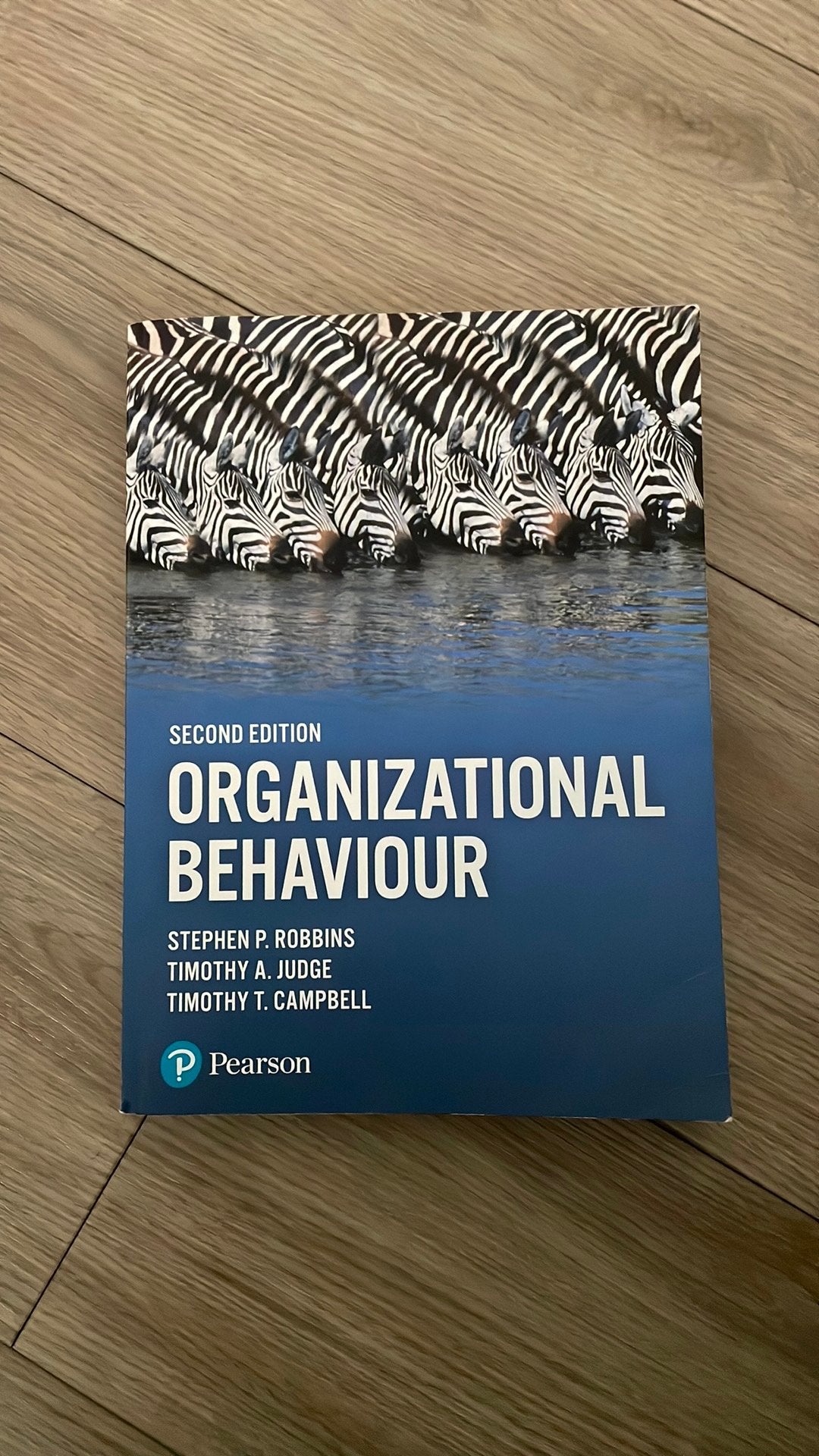 Organizational behaviour, Boeken, Ophalen of Verzenden, Beta, Zo goed als nieuw, WO