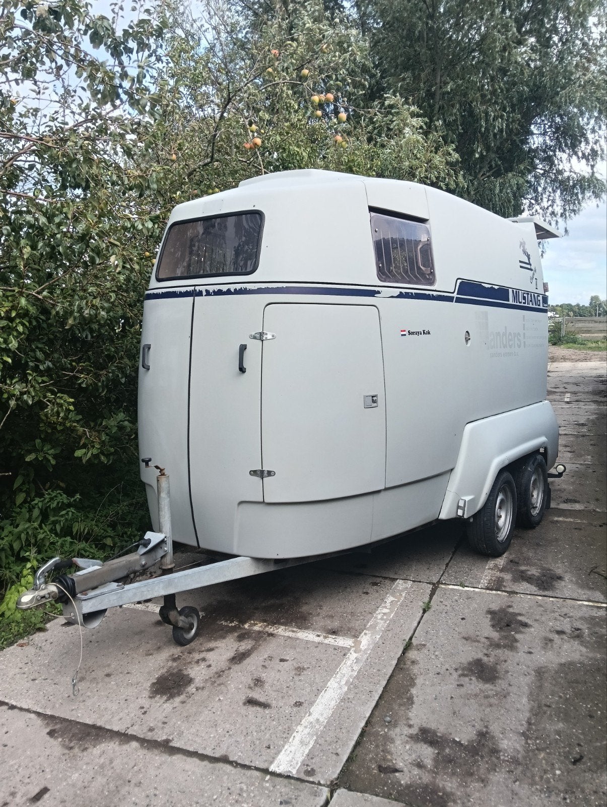 2-paards trailer Mustang, Ophalen, Gebruikt, Polyester, 2-paards trailer
