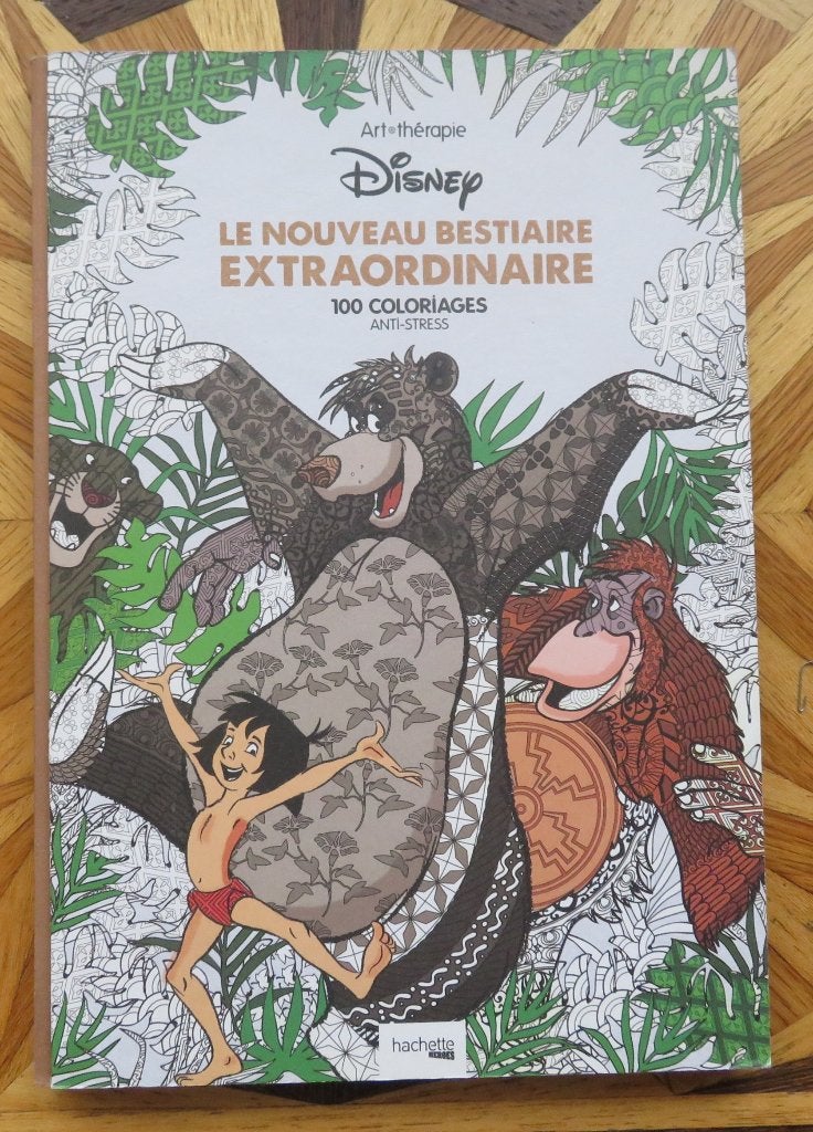 Vrier Kleurboeken voor volwassenen - DISNEY - Hachette, Ophalen of Verzenden, Zo goed als nieuw, Tekenen en Schilderen