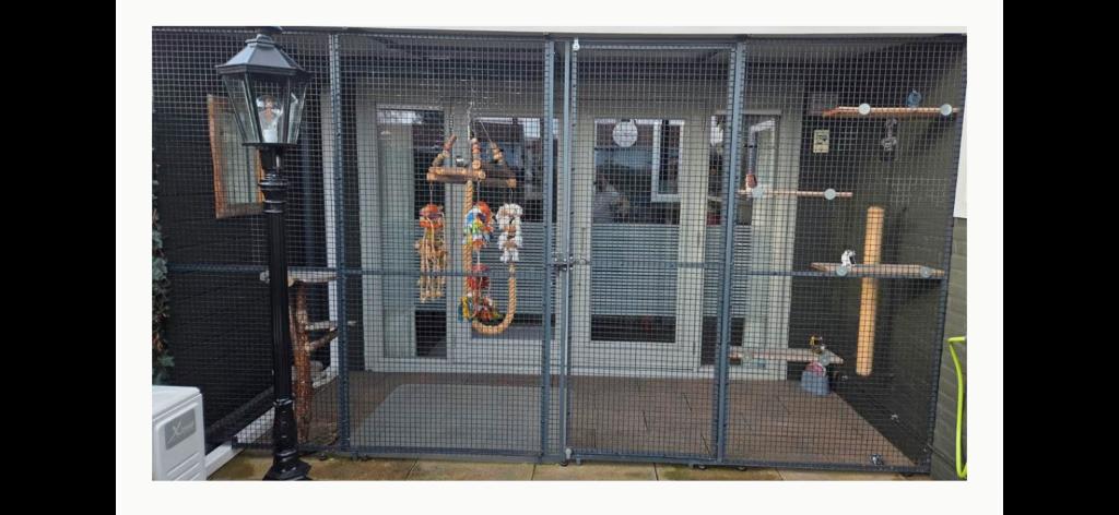 Kattenren / vogel tuinafzetting, Dieren en Toebehoren, Katten-accessoires, Gebruikt, Ophalen