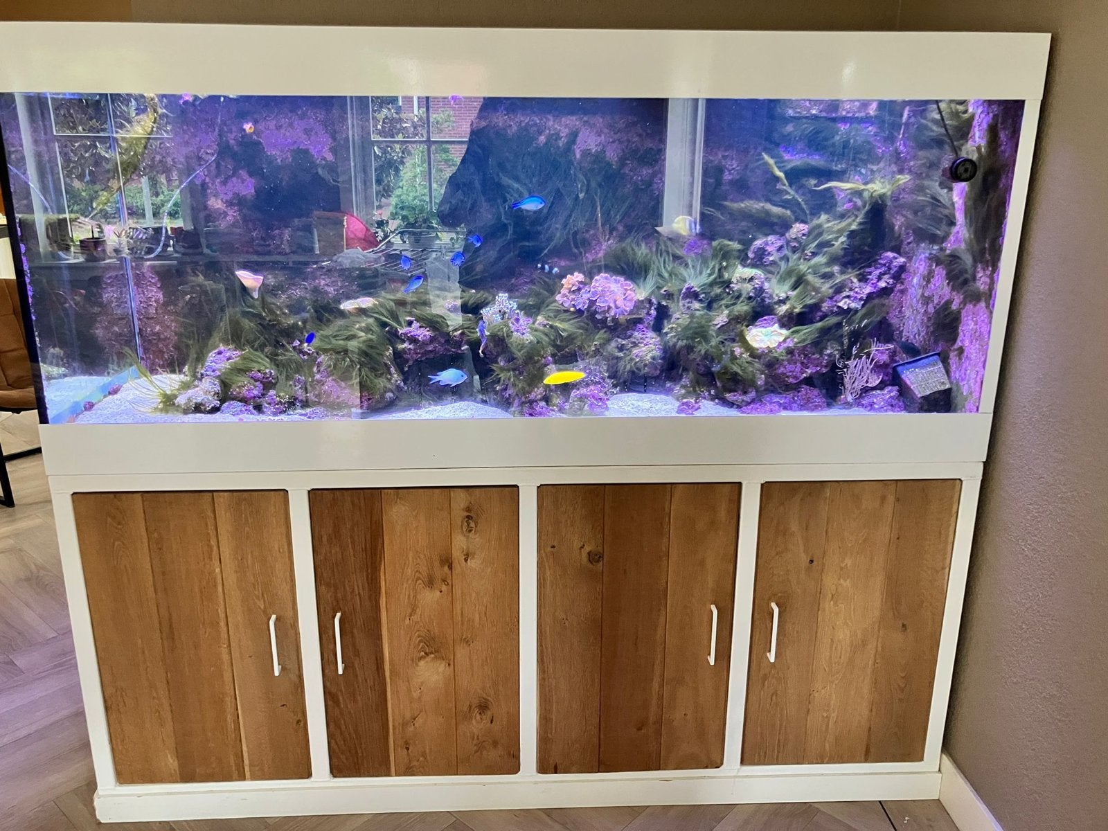 Groot zeeaquarium (200x75x75cm) te koop!, Dieren en Toebehoren, Ophalen, Gevuld zeewateraquarium