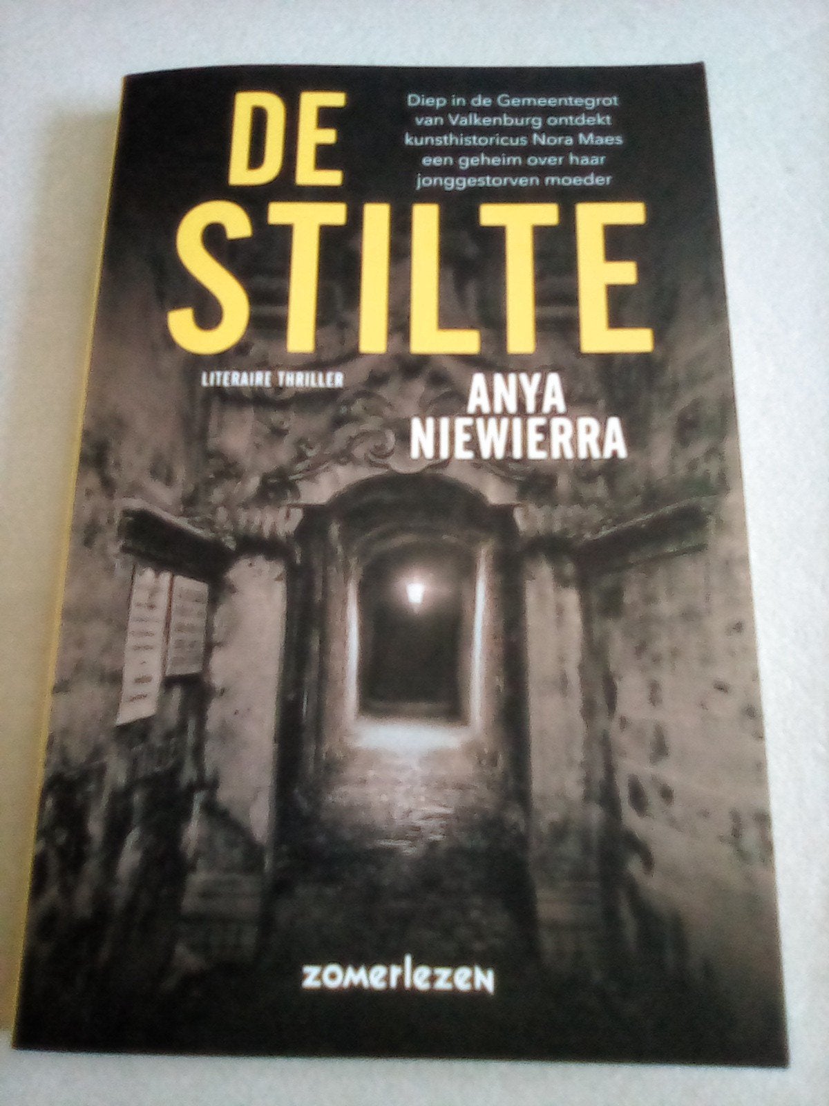 De Stilte - Anya Niewierra, Boeken, Thrillers, Zo goed als nieuw, Ophalen of Verzenden