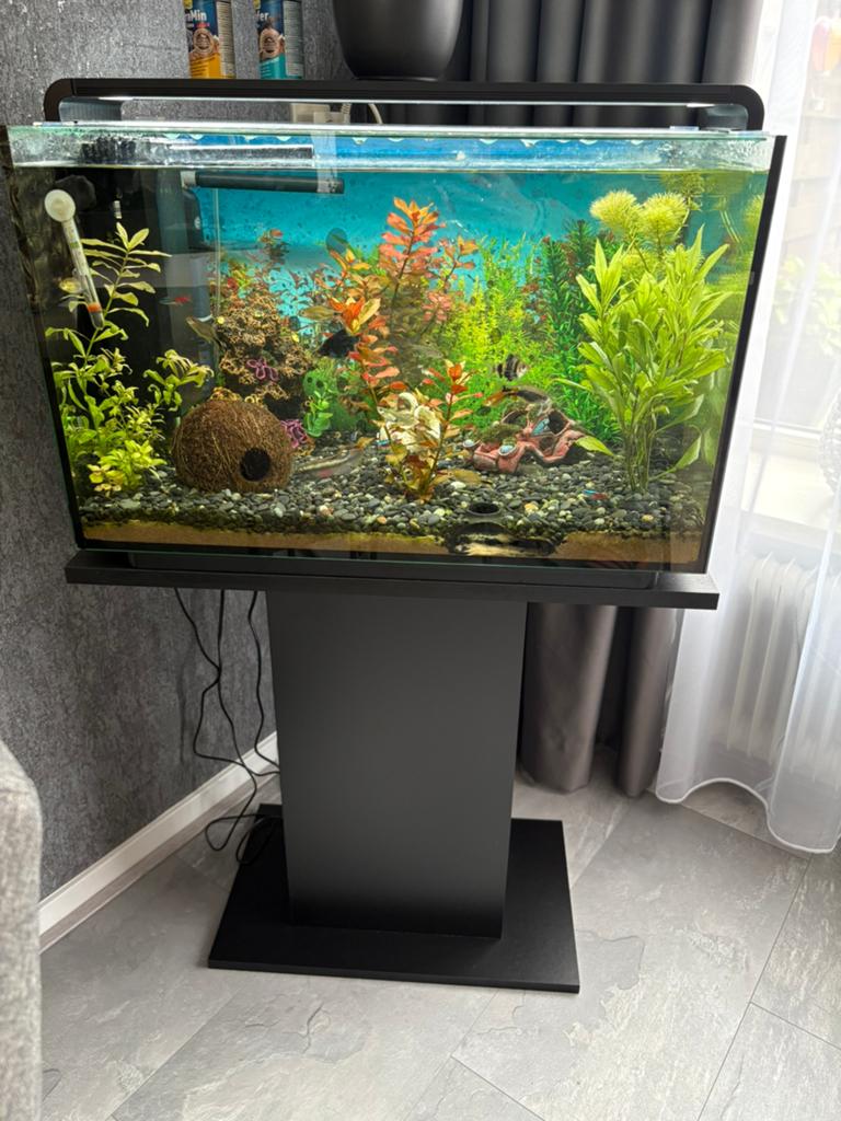 Aquiarium compleet, Superfish, Inclusief vissen, Ophalen of Verzenden, Gevuld zoetwateraquarium