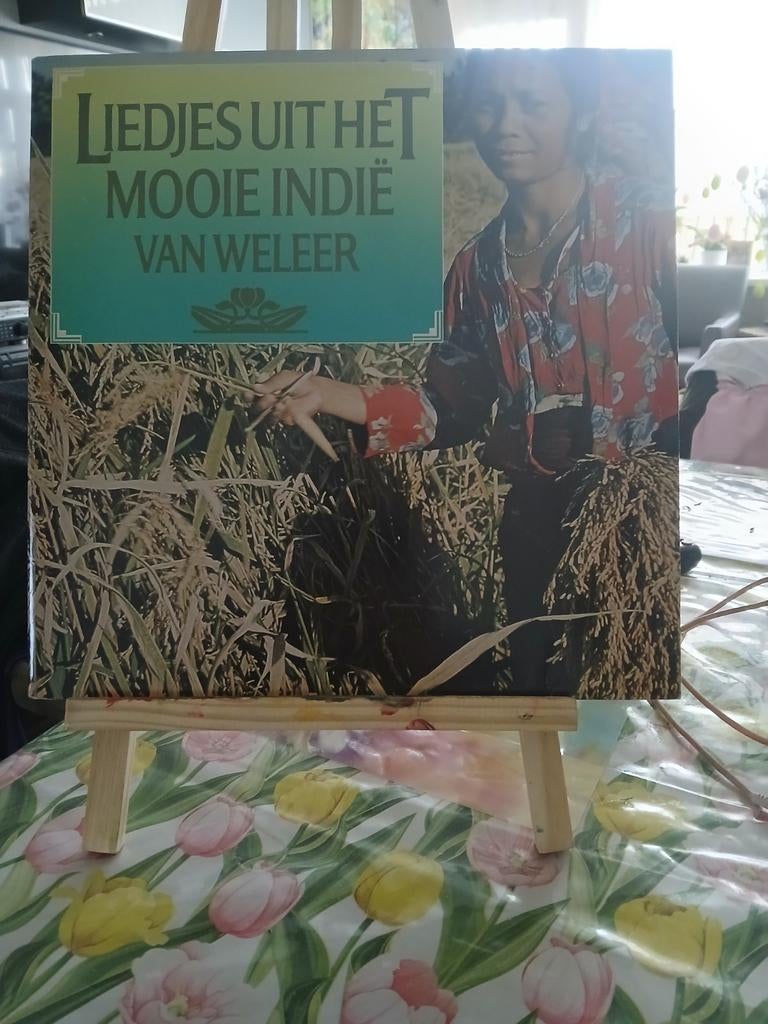 Liedjes uit het Mooie Indië van Weleer LP, Ophalen of Verzenden, 1970 - 1979, Gebruikt, 12 inch