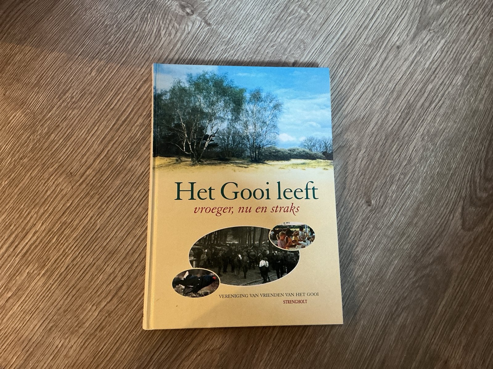 Het Gooi leeft: vroeger, nu en straks - Boek, Boeken, Ophalen of Verzenden, 20e eeuw of later, Gelezen