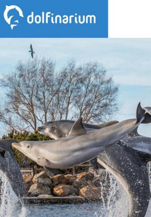 Dolfinarium kaartjes, Tickets en Kaartjes, Twee personen, Ticket of Toegangskaart