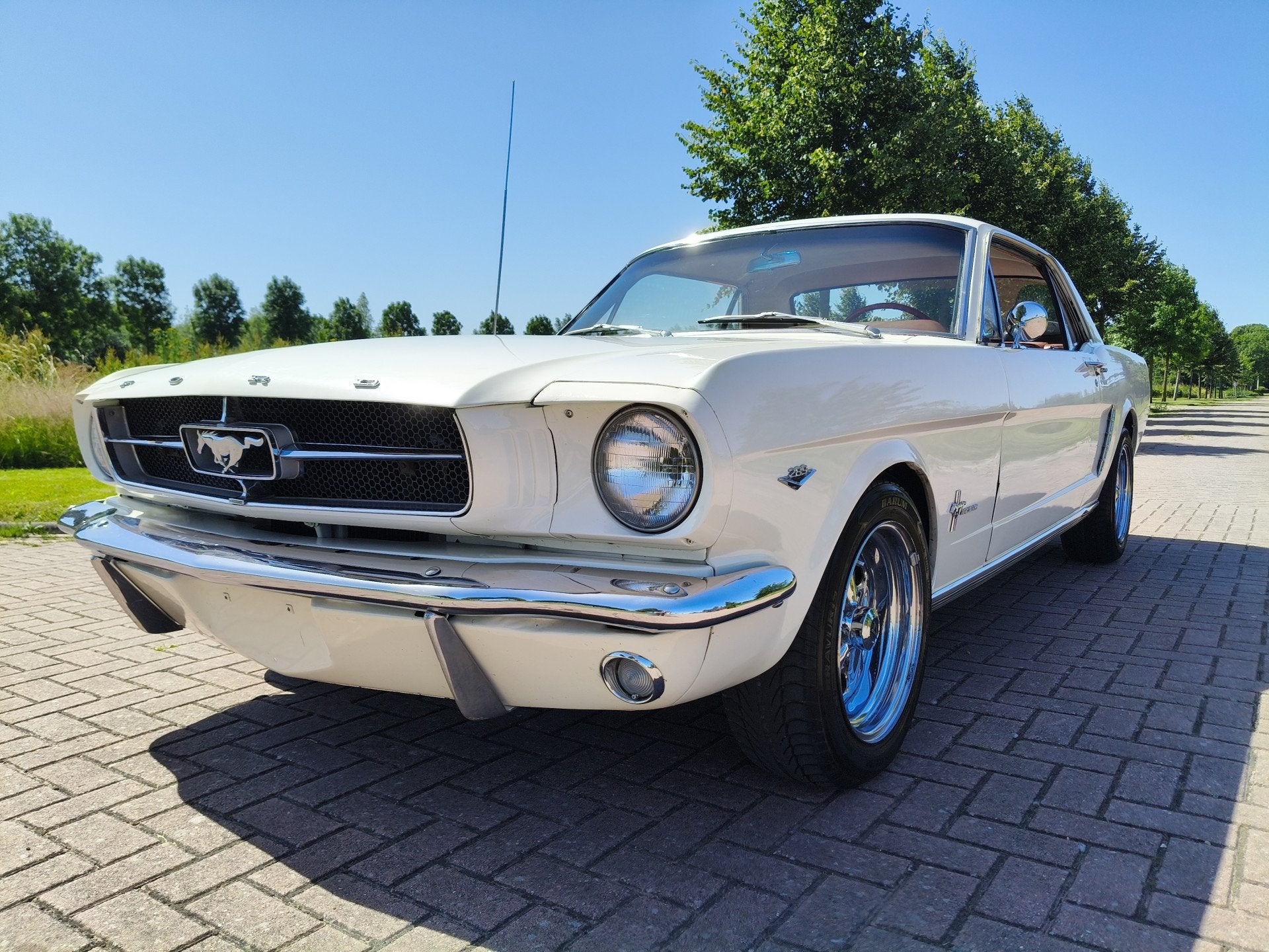 Ford Mustang HARDTOP V8 COUPE A CODE! (bj 1965, automaat), Auto's, 5000 cc, Zwart, Wit, Origineel Nederlands