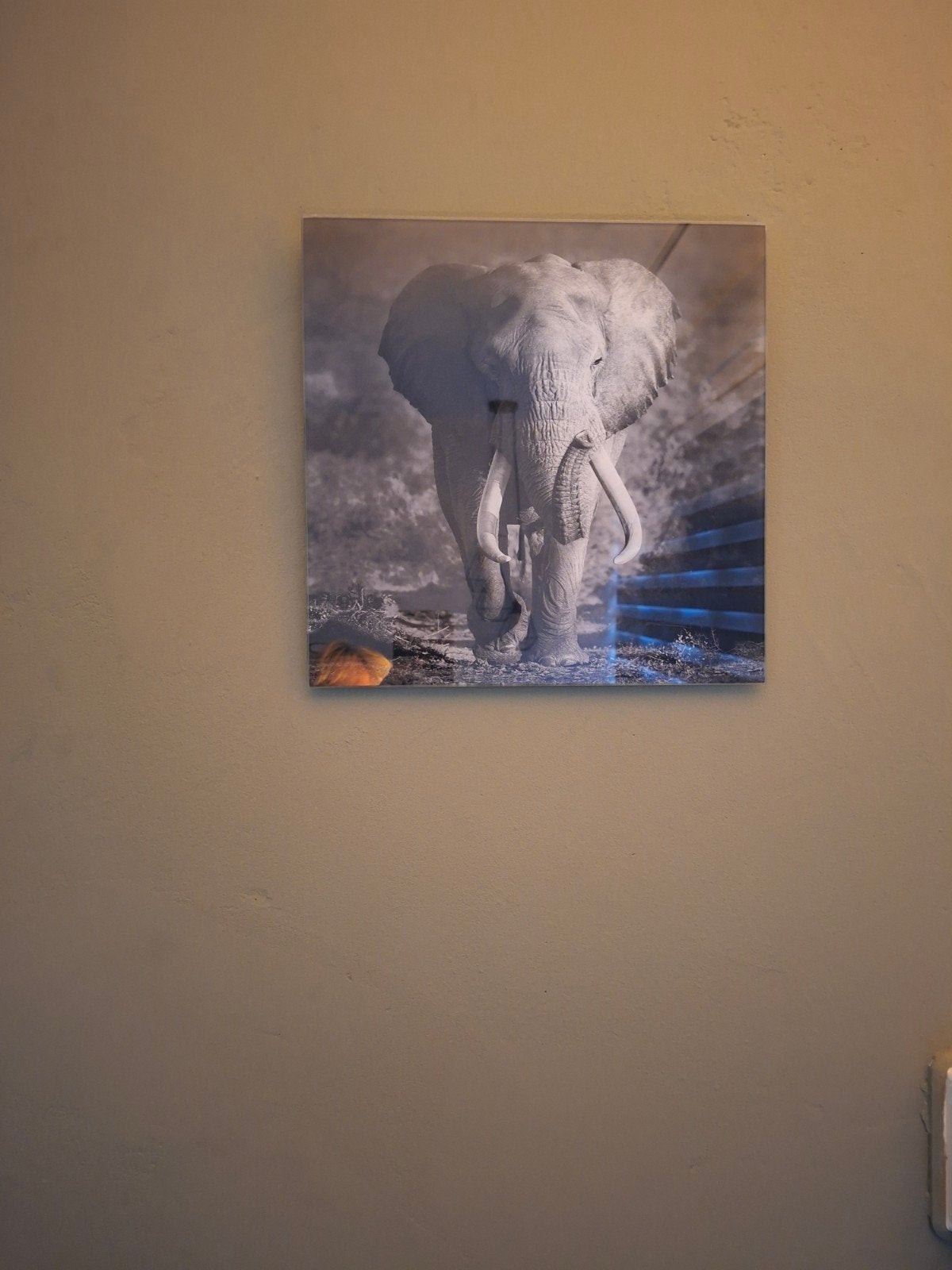 glasschilderij, Ophalen, Minder dan 50 cm, Zo goed als nieuw, Schilderij