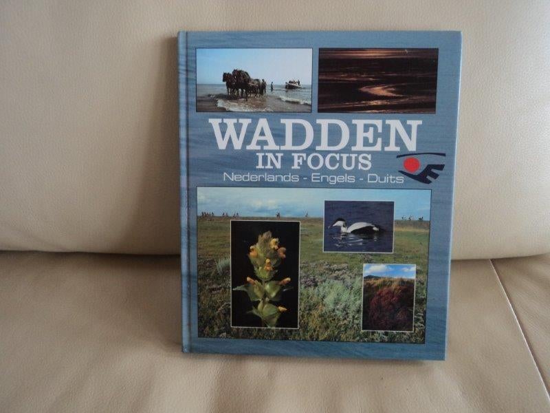 Wadden in focus, Boeken, Natuur, Zo goed als nieuw, Natuur algemeen, Ophalen of Verzenden