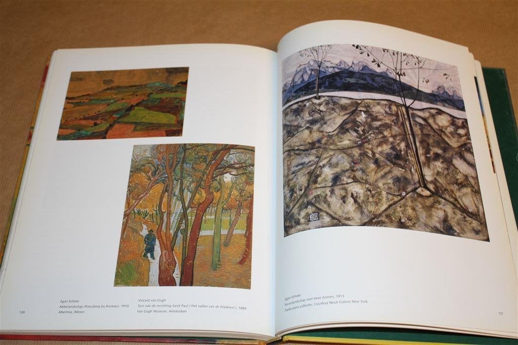 Vincent van Gogh en het expressionisme., Boeken, Ophalen of Verzenden, Zo goed als nieuw