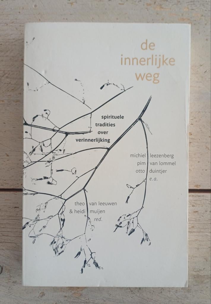 Theo van Leeuwen - De innerlijke weg, Achtergrond en Informatie, Spiritualiteit algemeen, Ophalen of Verzenden, Zo goed als nieuw