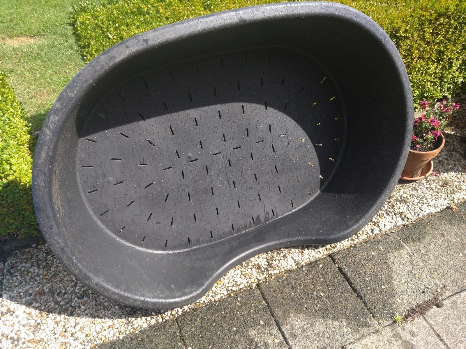 grote hondenmand, Ophalen, Gebruikt, Overige
