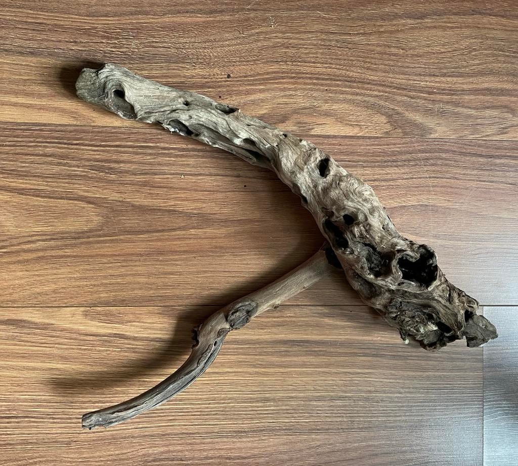 Aquarium hout - Medium, Dieren en Toebehoren, Ophalen, Plant(en), Steen of Hout