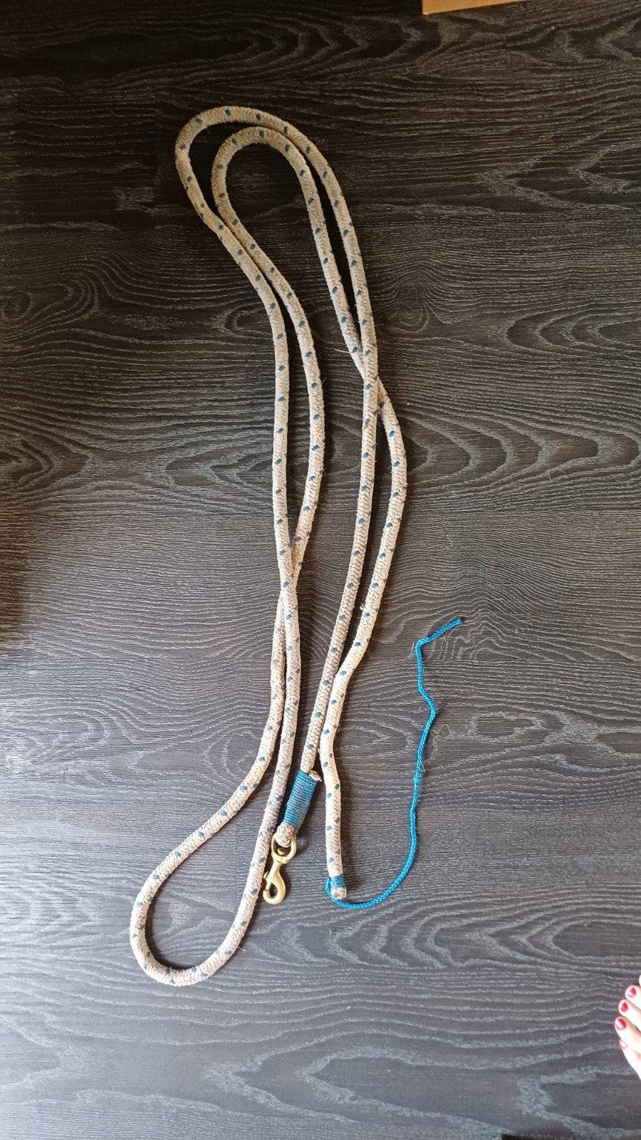leadrope paard/pony halstertouw, Ophalen of Verzenden, Gebruikt