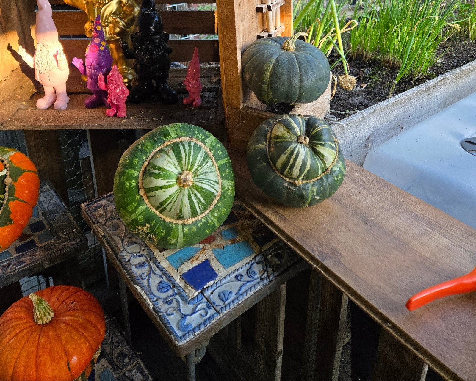Pompoenen Turkse Muts - Decoratief (niet eetbaar), Ophalen of Verzenden