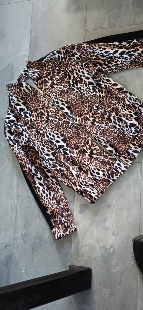 Tka bijna nieuw vestje/jasje maat m/l  van oksel 54 cm, Ophalen of Verzenden, Zo goed als nieuw, Maat 38/40 (M), Zwart