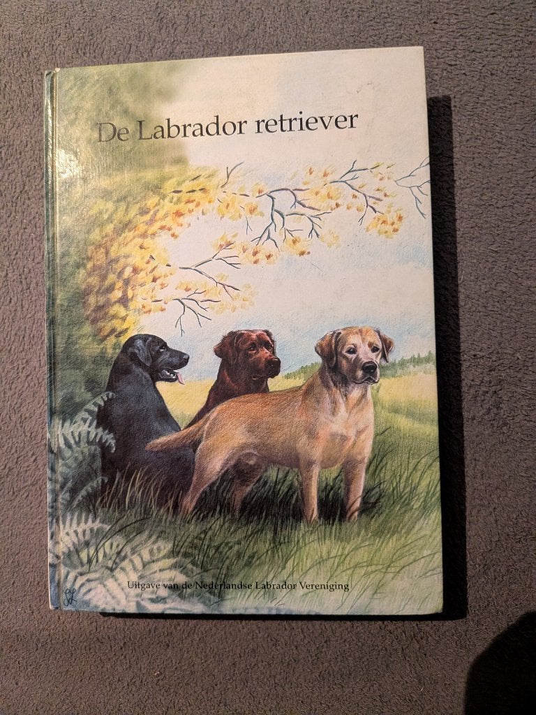 Labrador retriever, Ophalen of Verzenden, Zo goed als nieuw, Honden
