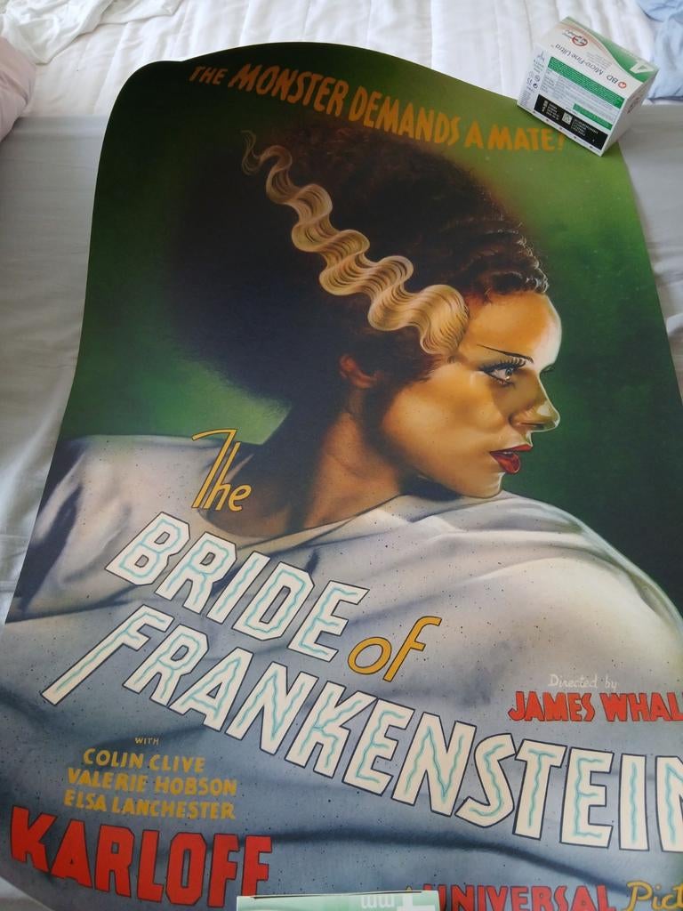Bride of frankenstein poster vice press., Ophalen of Verzenden, Nieuw, A1 t/m A3