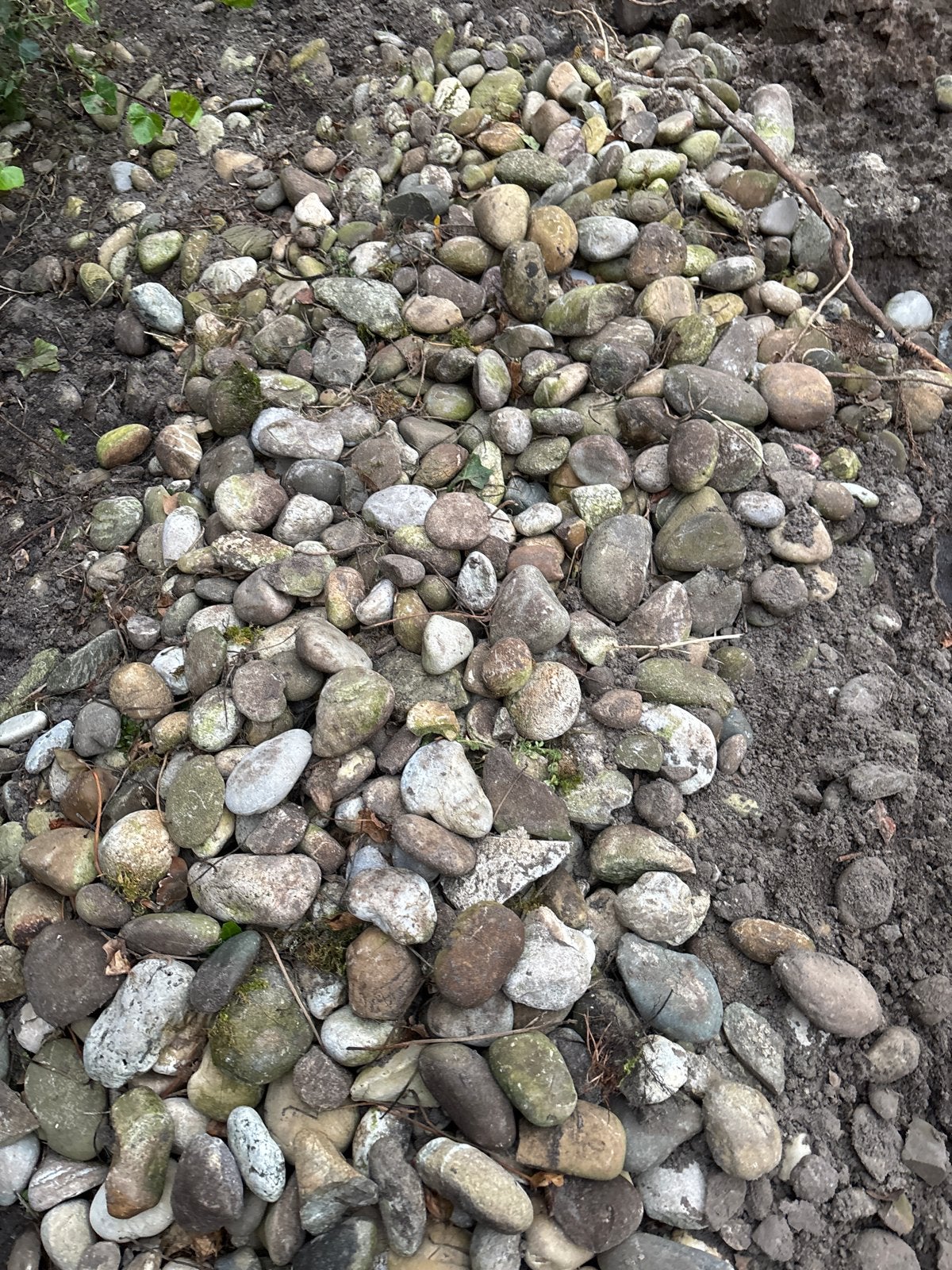 Gratis af te halen: grind voor pad of tuin, Ophalen, Gebruikt, Multi, Kei