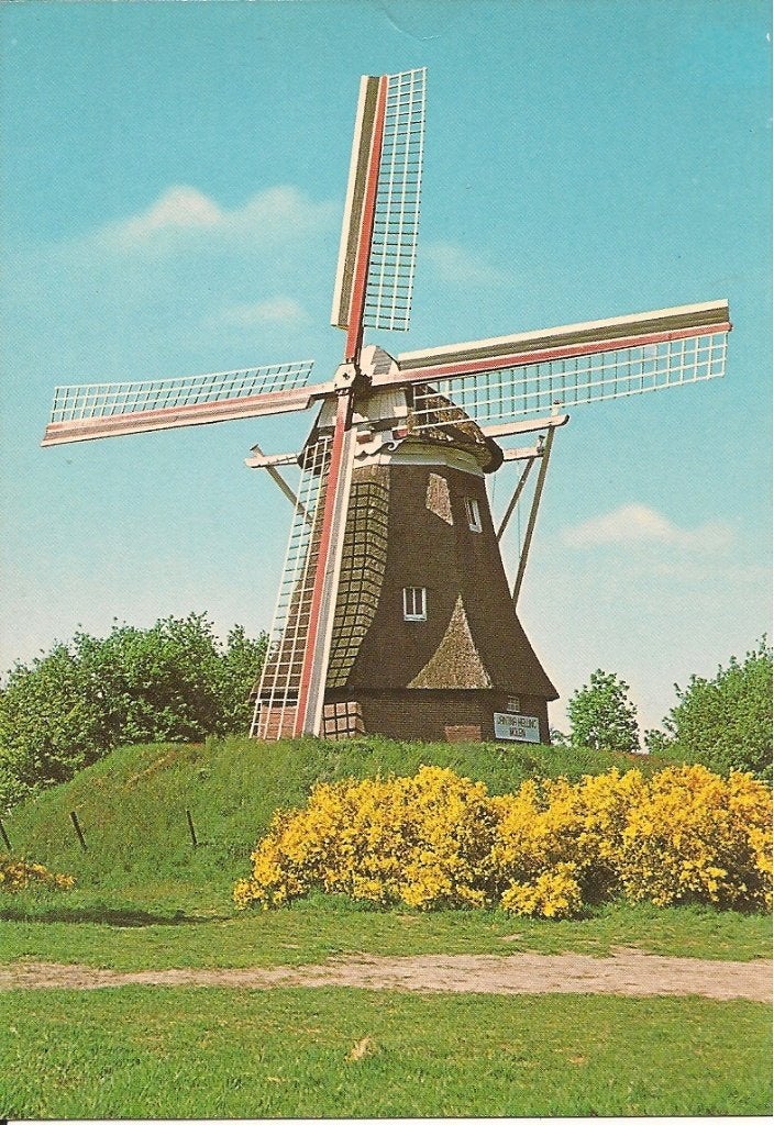 Ansichtkaart Molen Janine-Hellingmolen Aalden, Ophalen of Verzenden, 1980 tot heden, Ongelopen, Drenthe