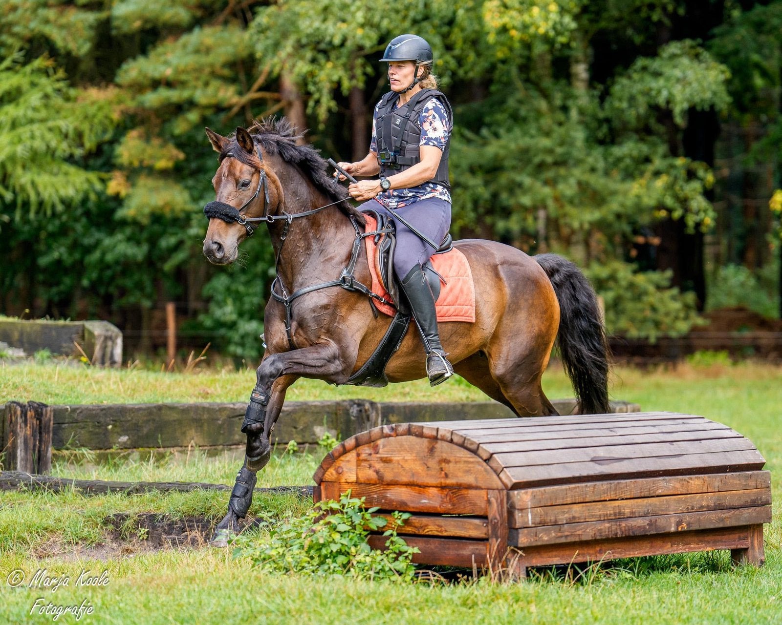 Merrie v. Christ Hannoveraan - 14 jaar, Dieren en Toebehoren, Paarden, Merrie, Springpaard, Met stamboom, 11 jaar of ouder