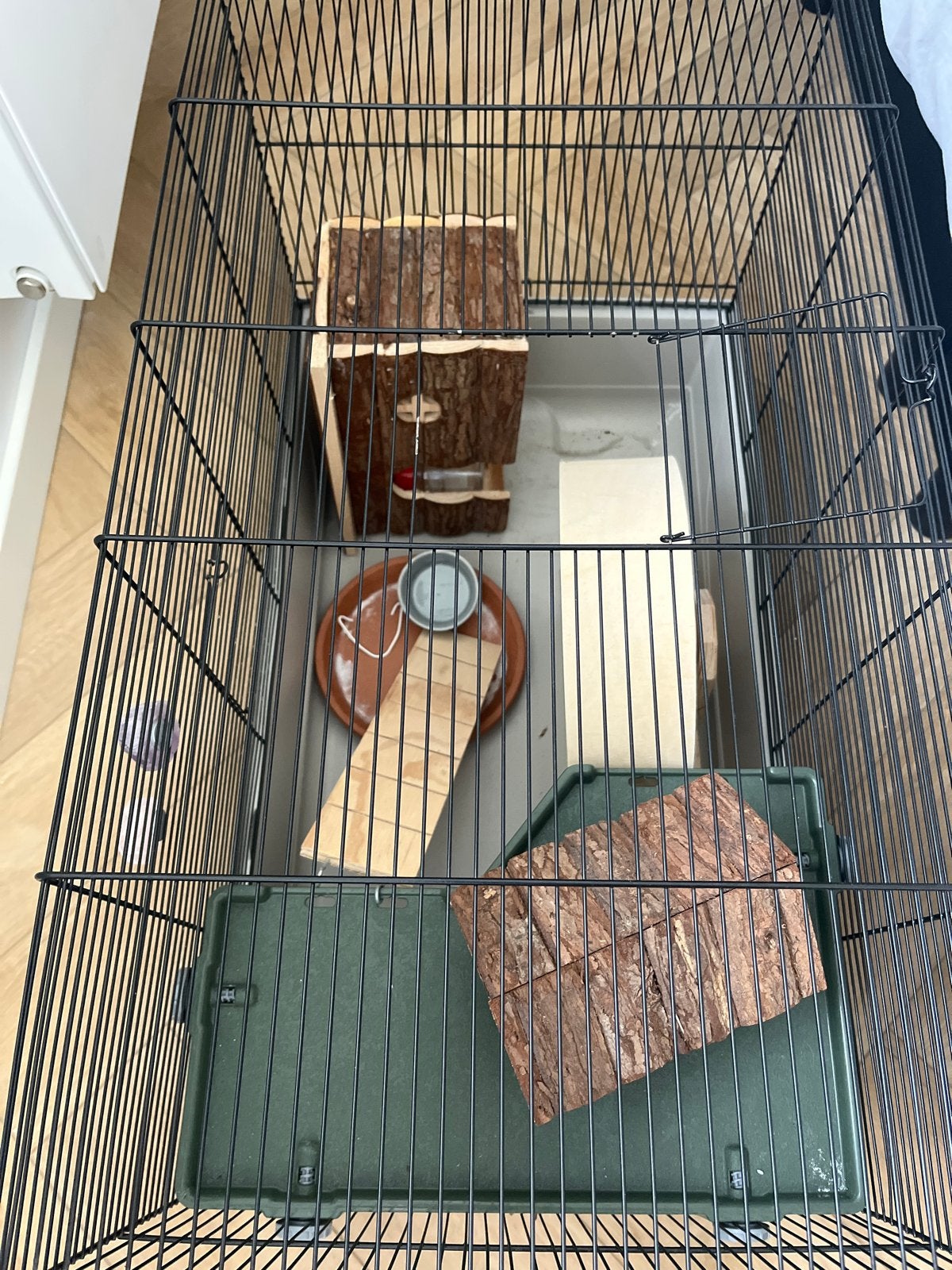 Dieren kooi ( hamster), Ophalen
