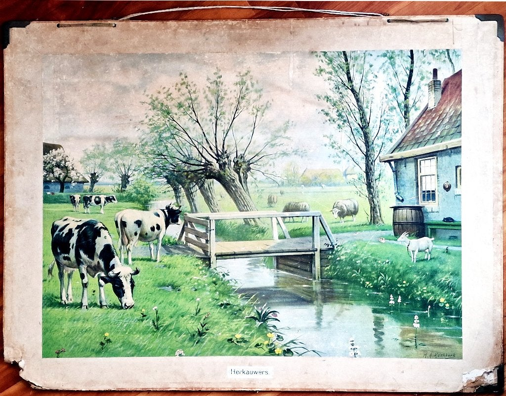 Herkauwers / M.A. Koekkoek, Ophalen, Geschiedenis