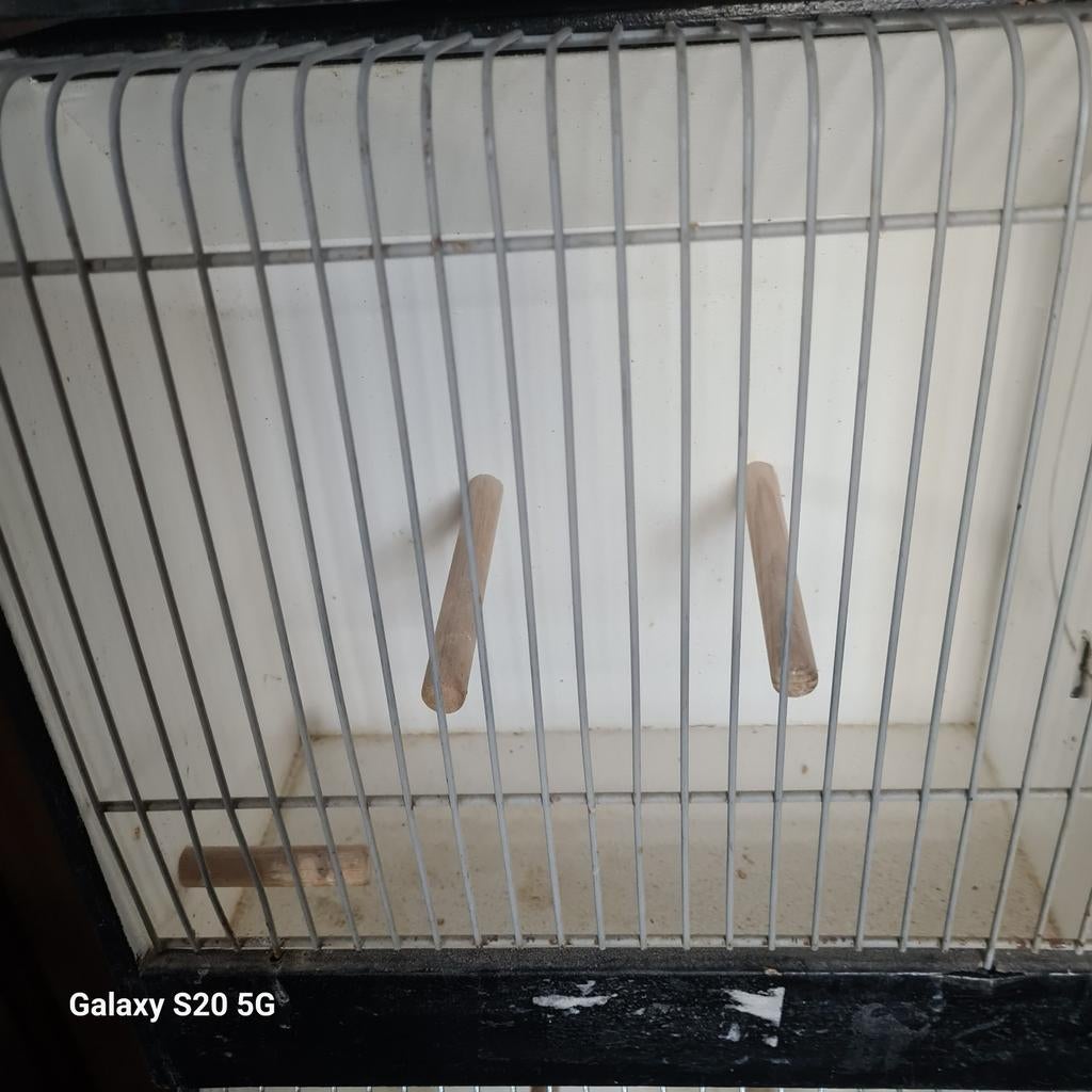 Vogelkooitjes voor de sier, Ophalen
