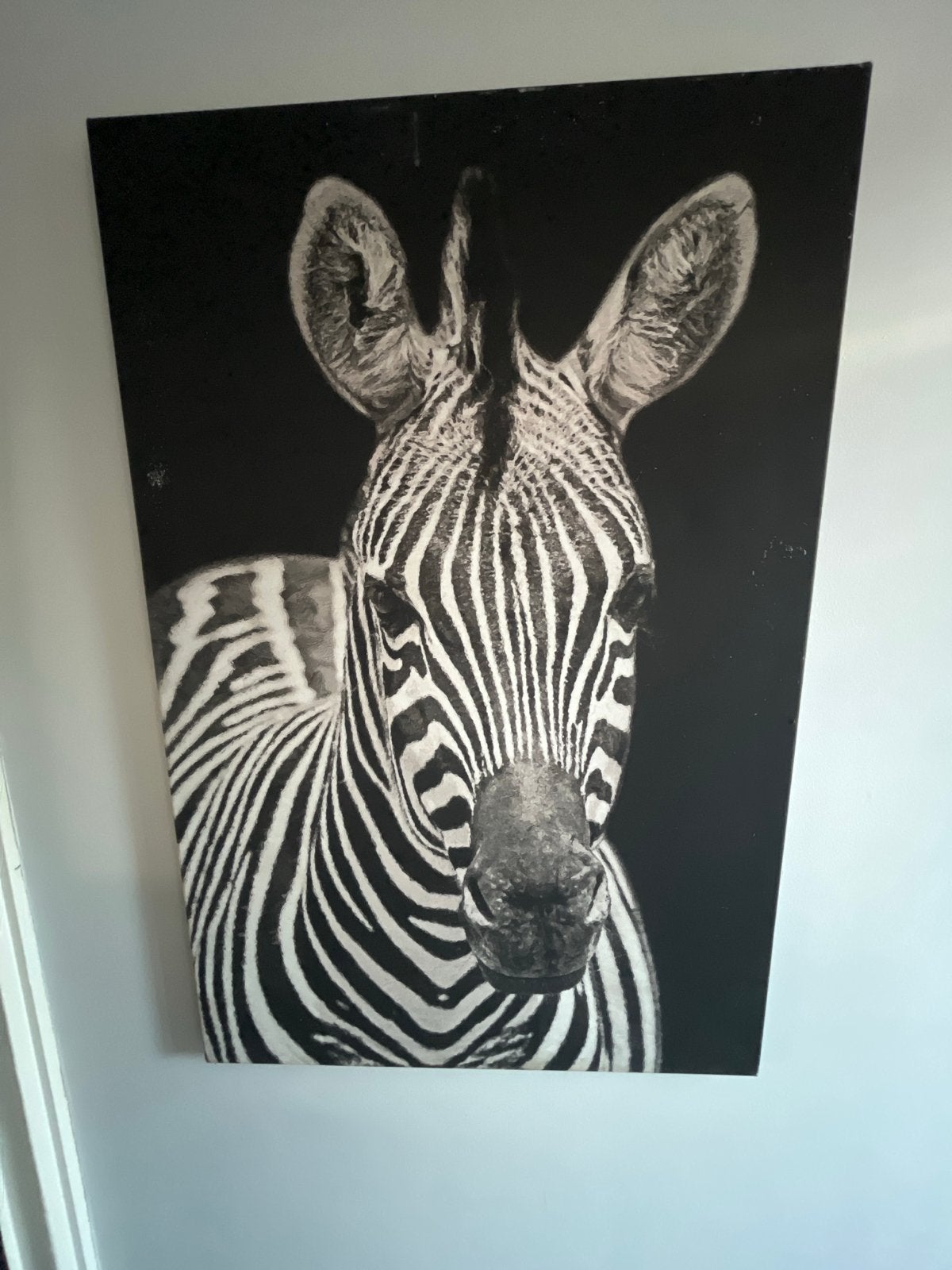 Zwart-wit Zebra Canvas Schilderij 60x90, Ophalen of Verzenden, Zo goed als nieuw, Schilderij, 75 – 100