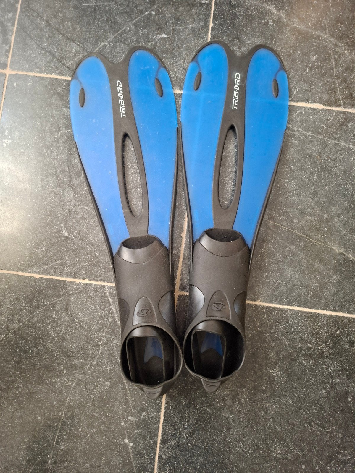 Nieuwe zwemflippers., Watersport en Boten, Ophalen of Verzenden, Nieuw, Zwem- of Duikvliezen