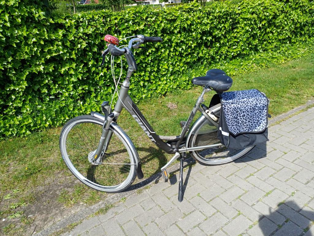 Giant Ultimo Damesfiets - Goede Staat, Fietsen en Brommers, Fietsen | Dames | Damesfietsen, Gebruikt, Giant, Velgrem, Ophalen