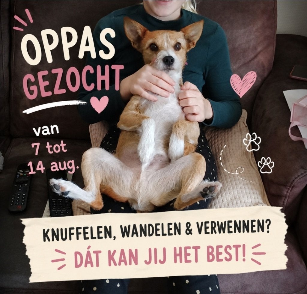 Gezocht: Oppas Hond 7Augustus tot 14