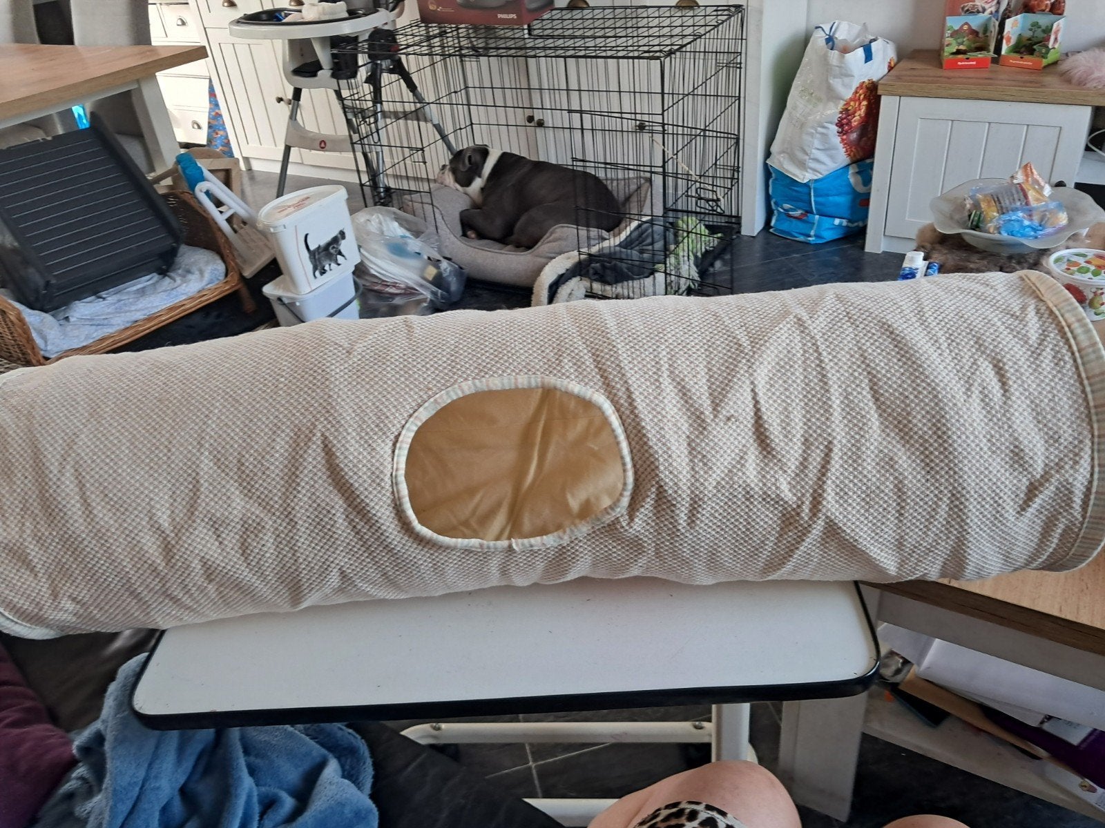 katten tunnel nr 163, Dieren en Toebehoren, Ophalen, Zo goed als nieuw, Speeltunnel