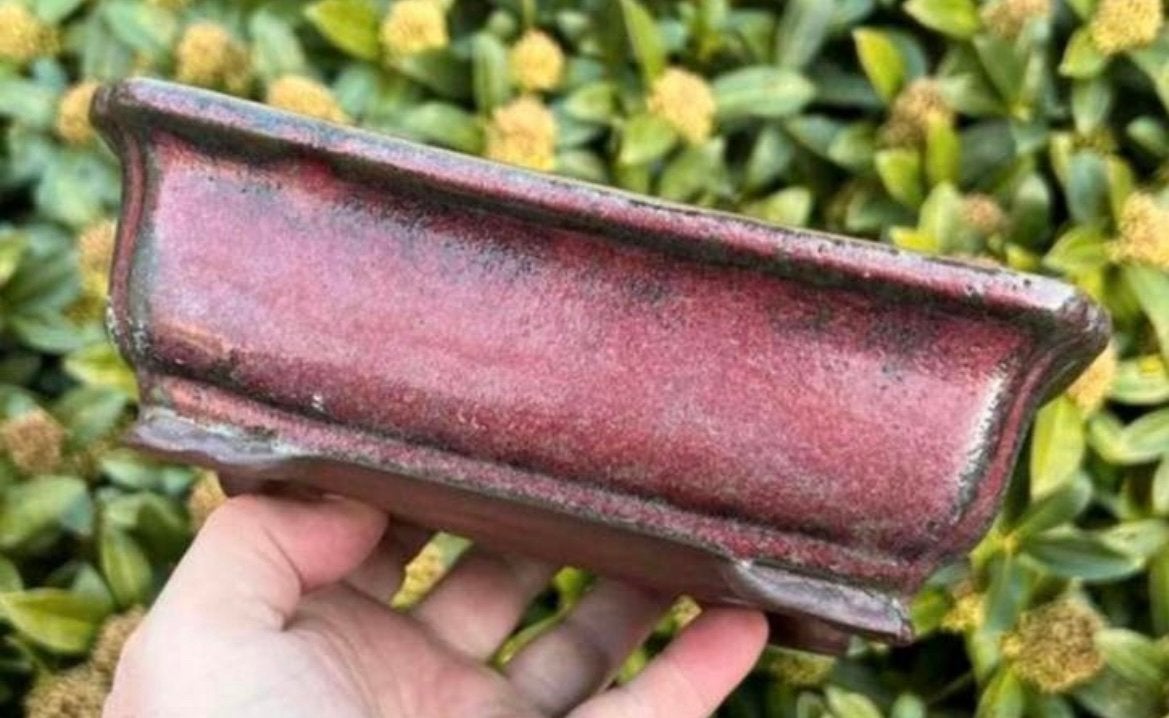 Bonsai schaal Ossenbloed rood geglazuurd 20,615,36,7, Ophalen of Verzenden, Zo goed als nieuw, Aardewerk, Rechthoekig