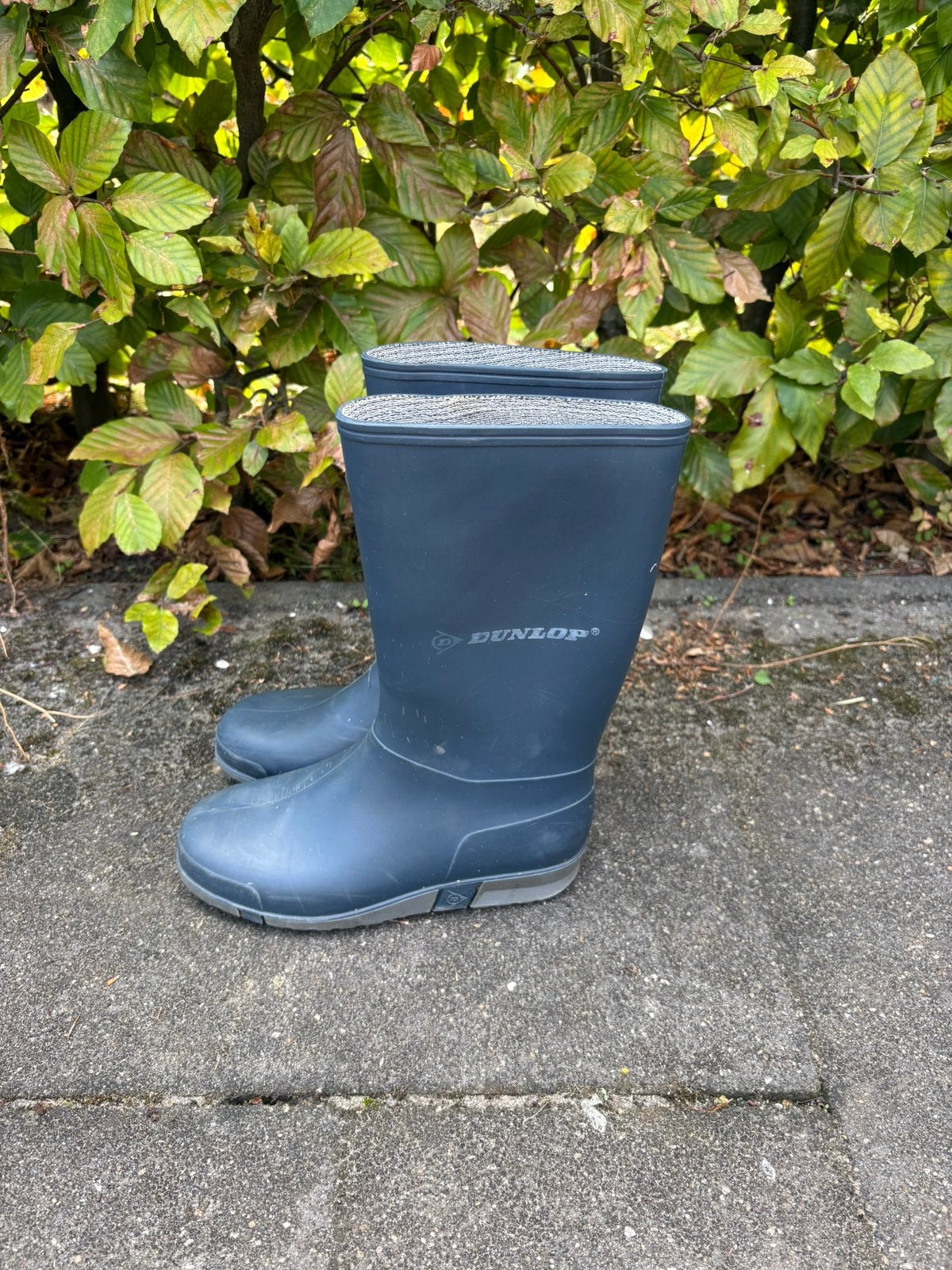 Dunlop kinder kaplaarzen/ regenlaarzen mt 31, Ophalen, Gebruikt, Jongen of Meisje, Laarzen