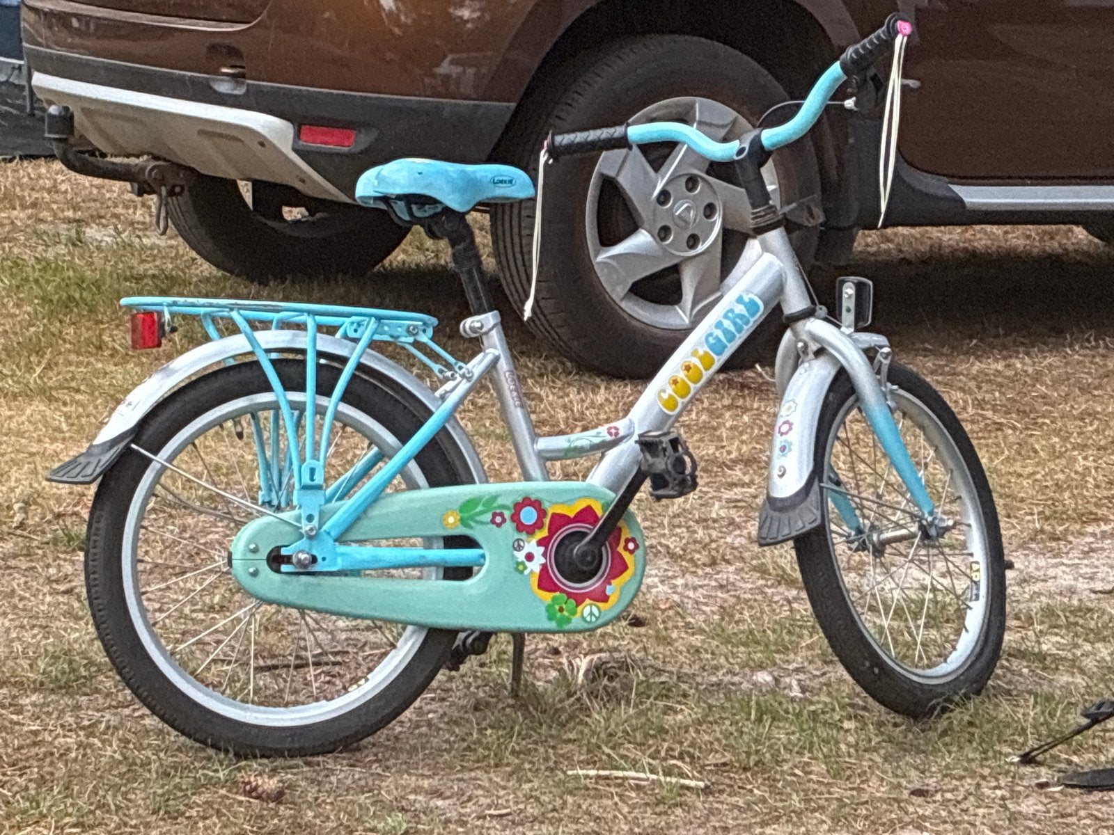 Loeki Cool Girls kinderfiets 20 inch, Ophalen, Gebruikt, Velgrem, 20 inch of meer