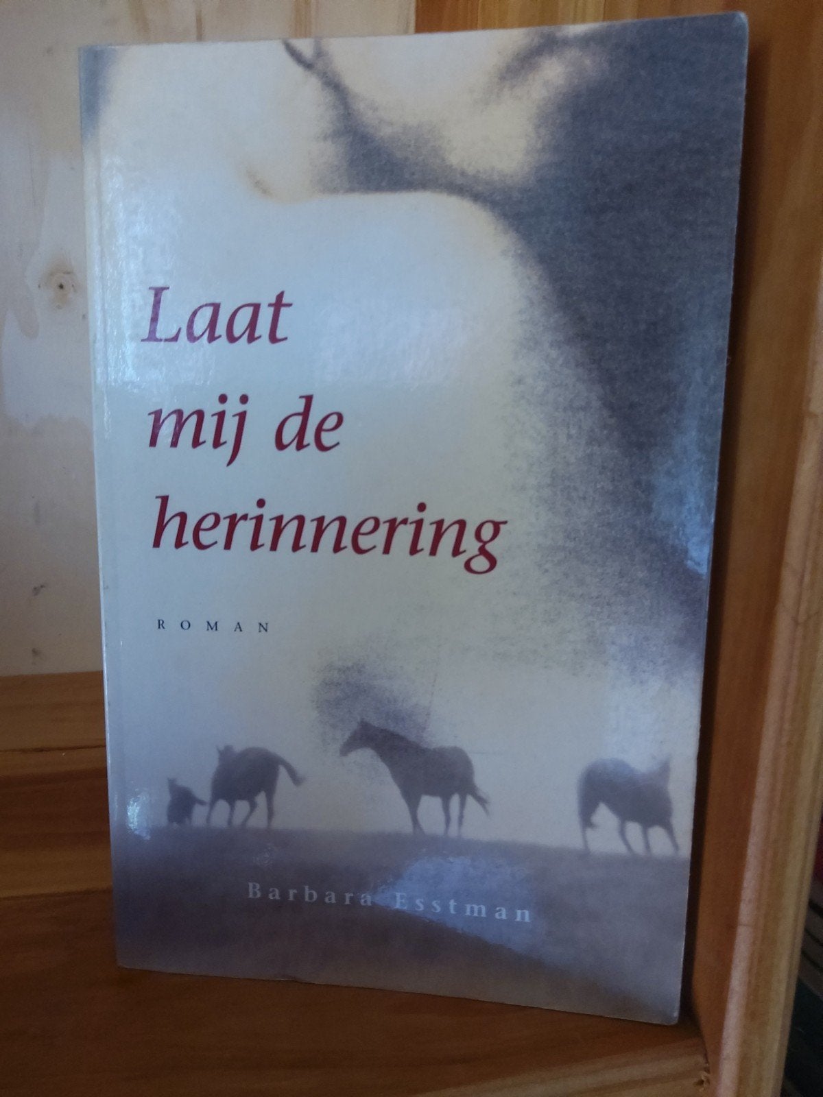 Laat mij de herinnering - Barbara Esstman (Roman), Boeken, Ophalen of Verzenden, Gelezen, Barbara Esstman, Europa overig