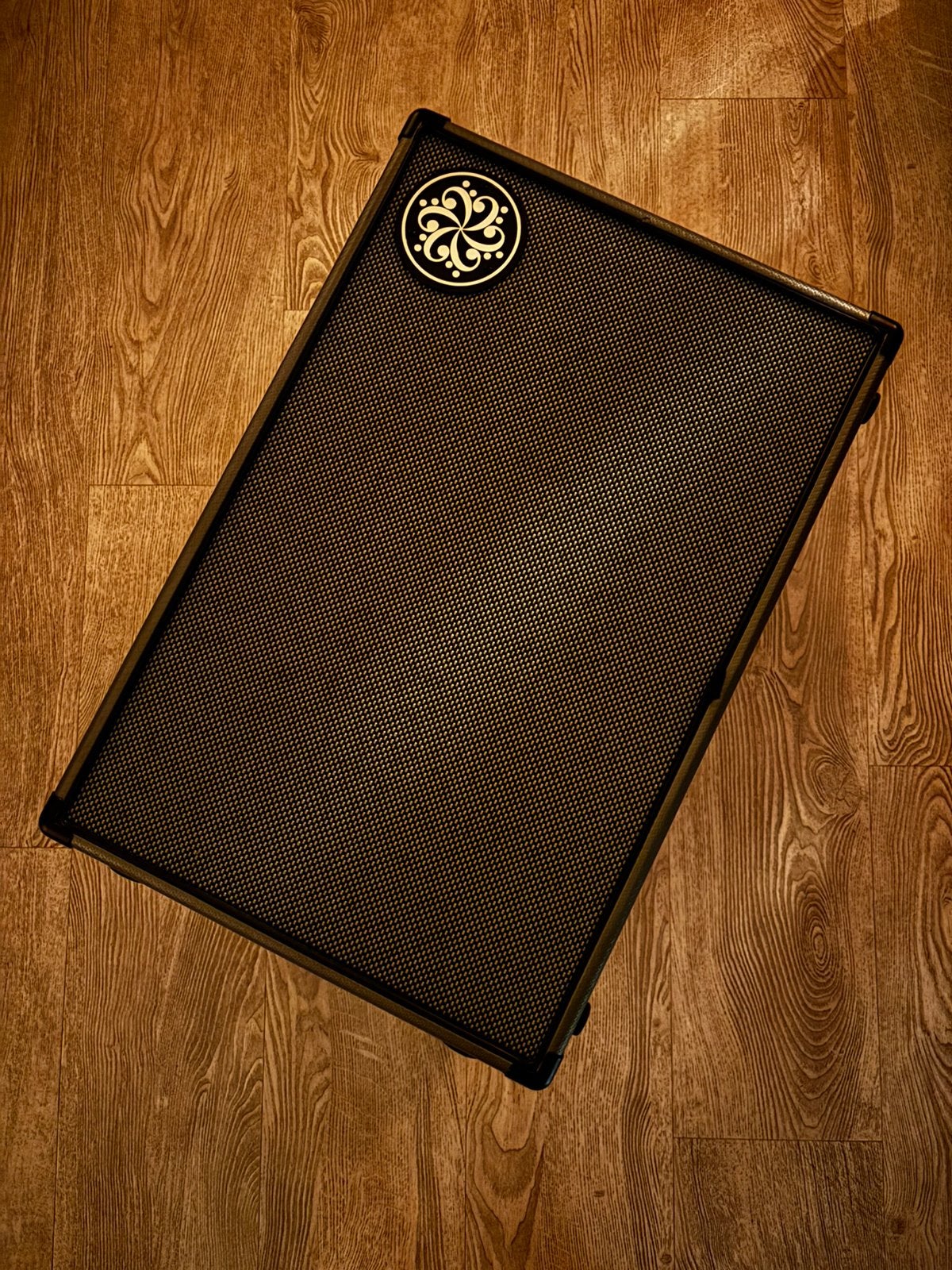 Darkglass DG210N 500W Bass Cab/speaker/ luidspreker., Muziek en Instrumenten, Versterkers | Bas en Gitaar, Ophalen, Zo goed als nieuw