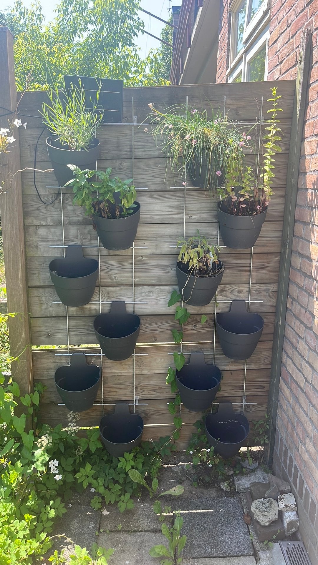 Nu ophalen; kruidenpotten en rek voor tuin of balkon, Ophalen, Kunststof, Minder dan 30 cm, Balkon