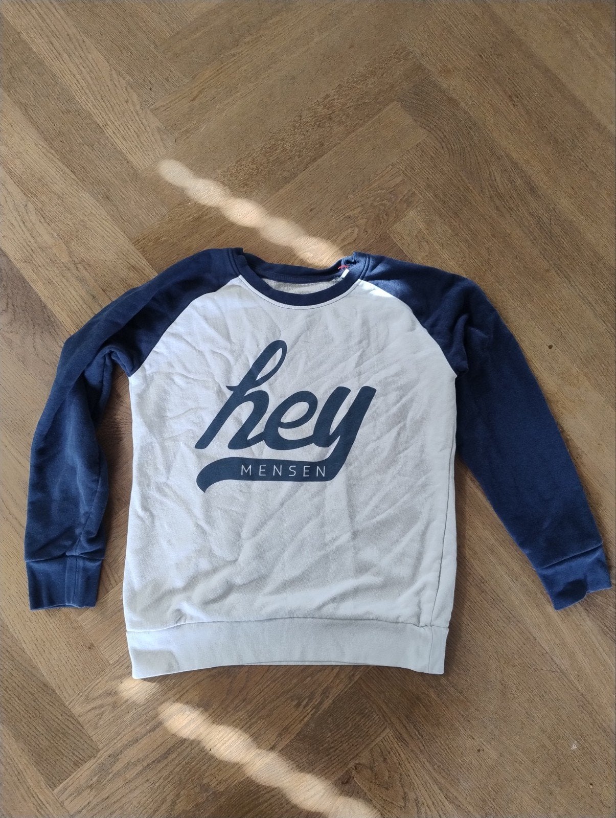 Hey Mensen sweater, Verzenden, Zo goed als nieuw, Jongen of Meisje, Trui of Vest