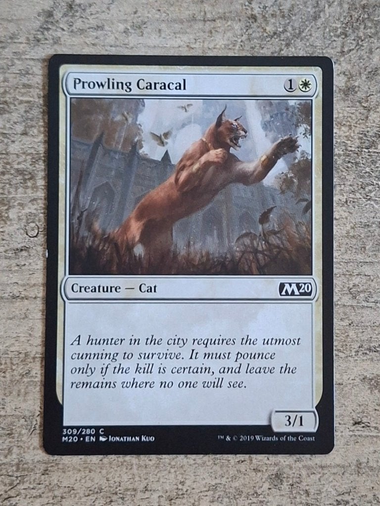 Prowling Caracal - Magic the Gathering, Verzenden, Gebruikt, Losse kaart
