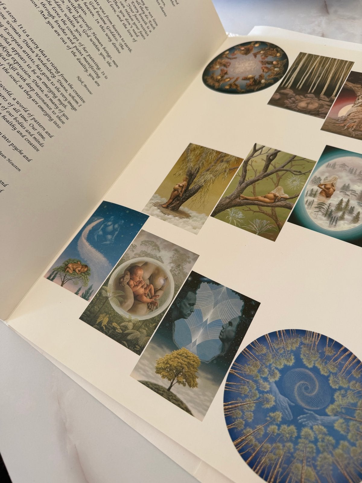 Mother Earth And The Sacred Trees - Moeder Aarde en de Heili, Ophalen of Verzenden, Gelezen, Spiritualiteit algemeen, Achtergrond en Informatie