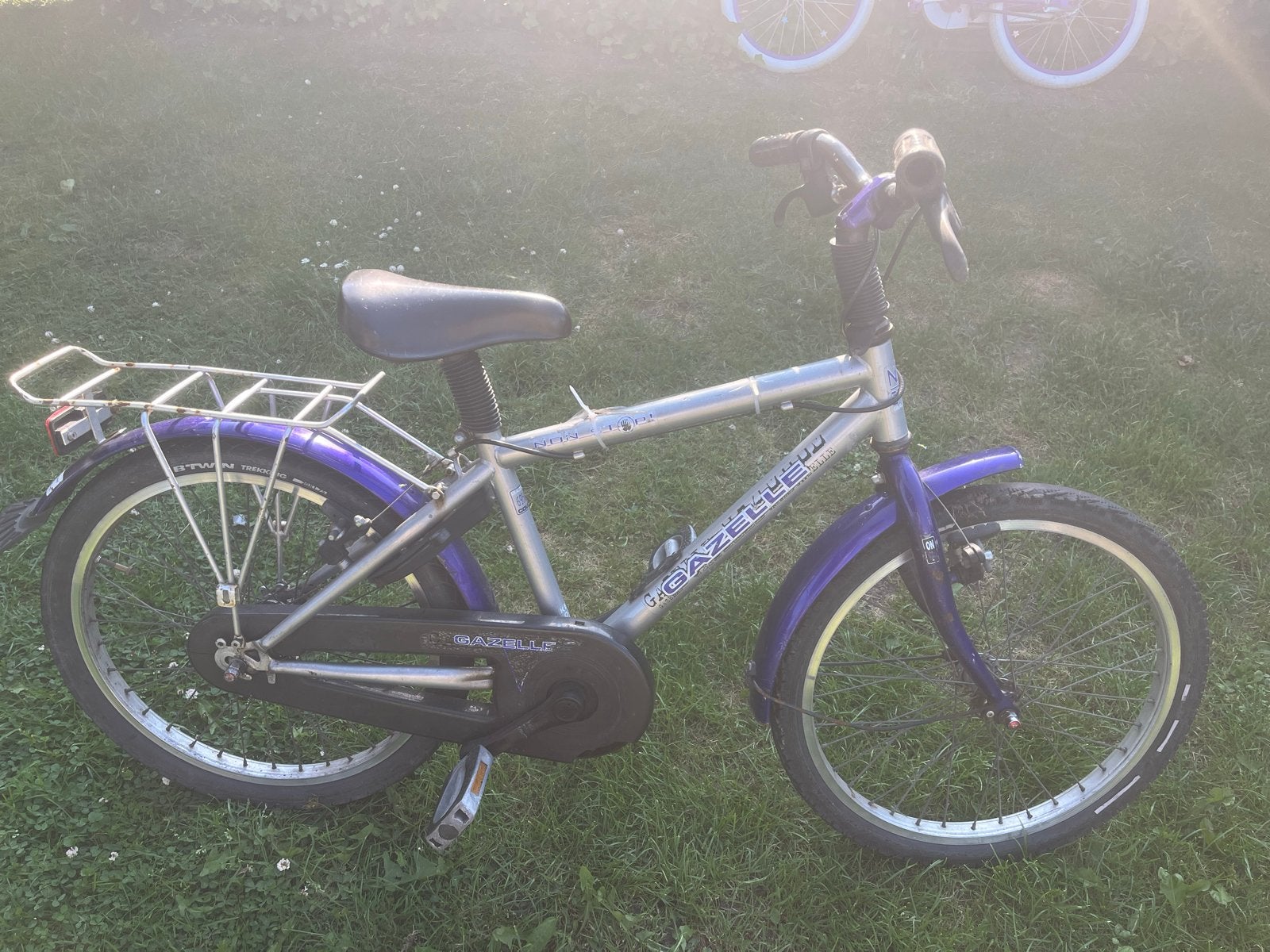 Gazelle kinderfiets 20 inch - Paars/Zilver, Ophalen, Gebruikt, Velgrem, 16 tot 20 inch