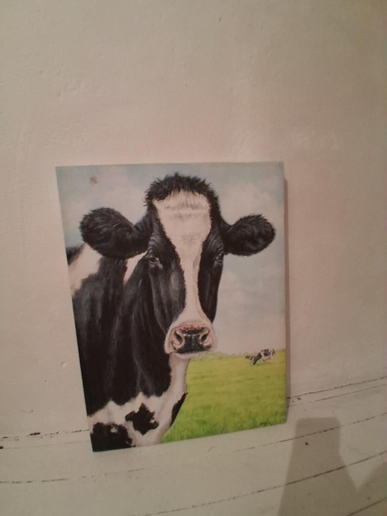 Koeien schilderij, Antiek en Kunst, Ophalen