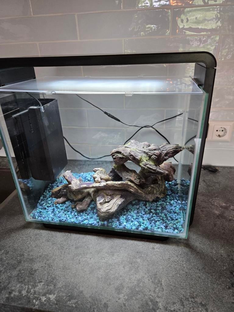 Super fish home 40 aquarium, Dieren en Toebehoren, Ophalen, Leeg aquarium