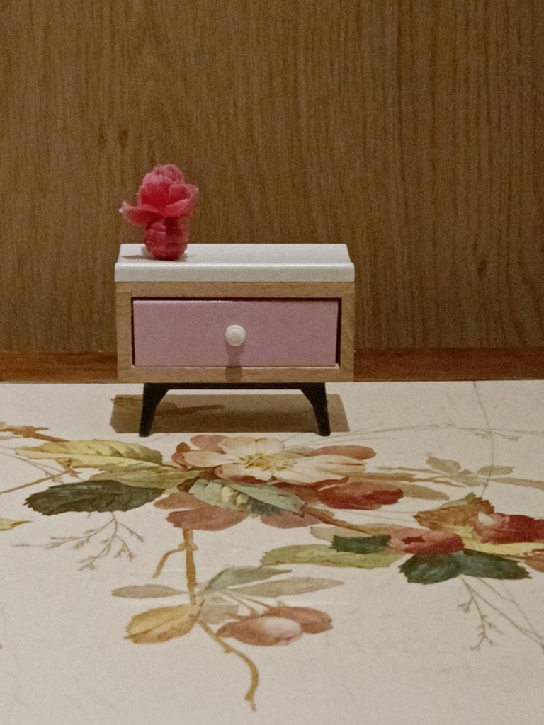Mooi Poppenhuis kastje, Ophalen of Verzenden, Gebruikt, Poppenhuis